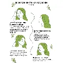 5.webp